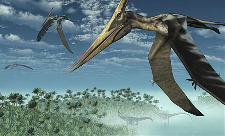 原创已知地球上最大的飞行动物风神翼龙能被人类驯化成坐骑吗