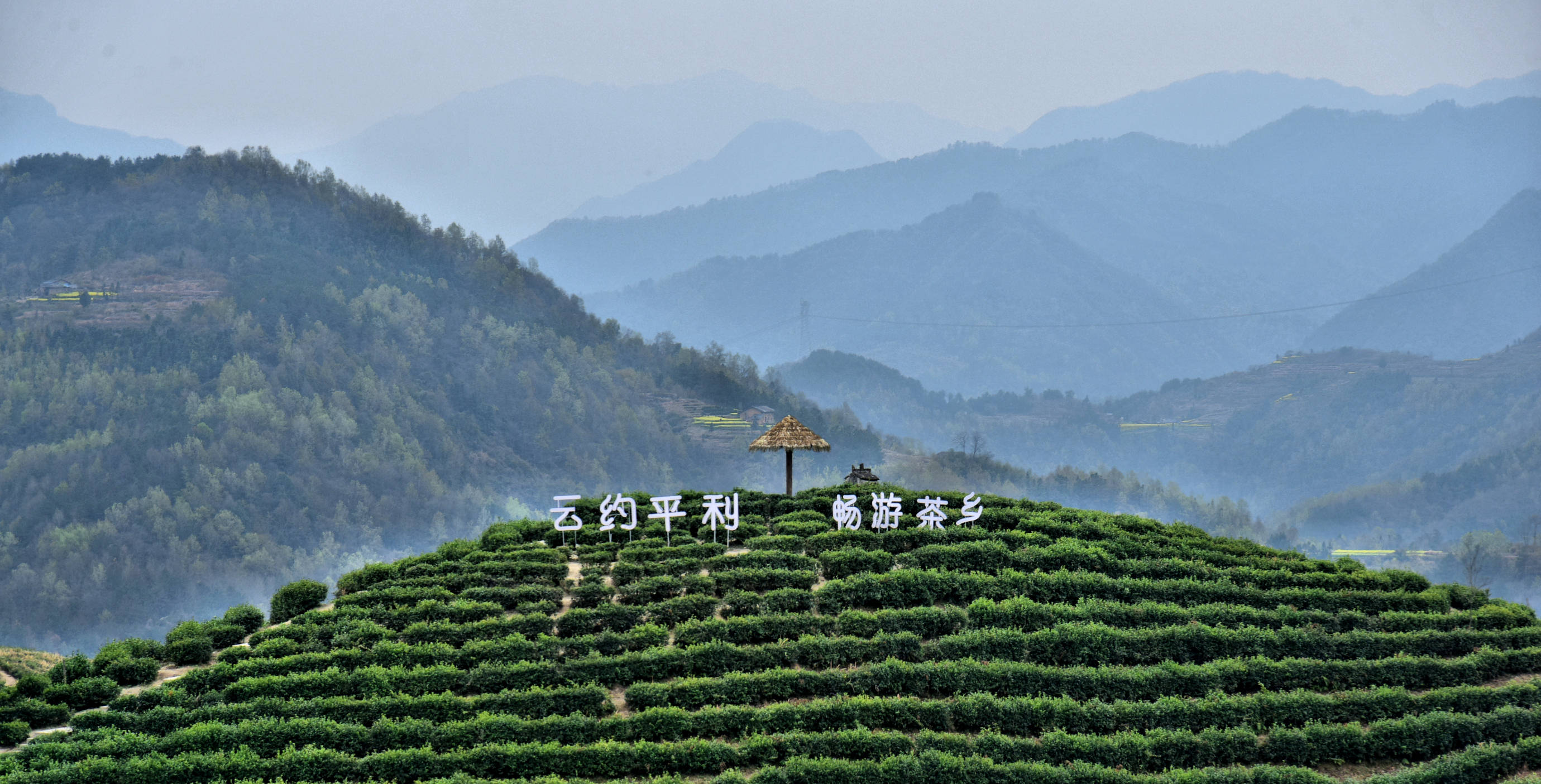 岚皋位于陕西省最南端,大巴山北麓,东西与平利县,紫阳县毗邻.