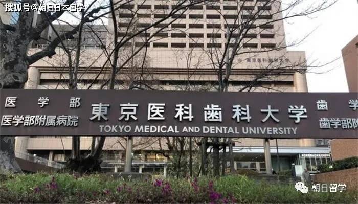 四,日本齿学专业发展前景:口腔科医生的就业领域较宽,既可在大医院