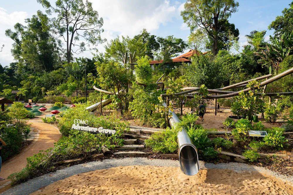新加坡生活| 植物园内推出新景点，这个假期记得带孩子去游玩！