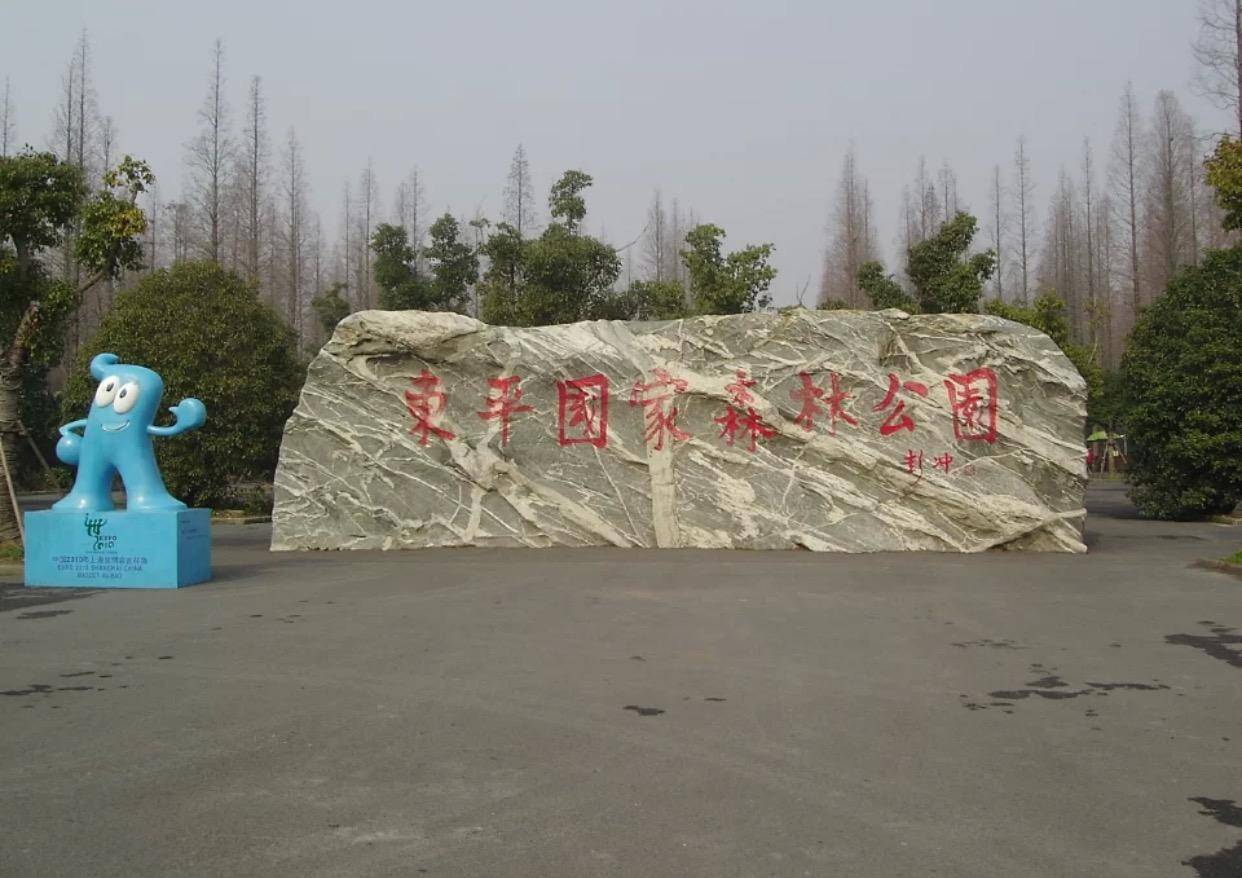 上海|东平国家森林公园