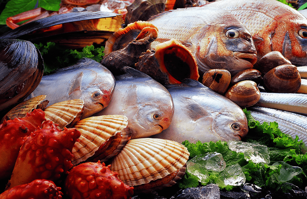 看完迪拜人吃海鲜后，才懂啥叫“真土豪”，没有对比就没有伤害