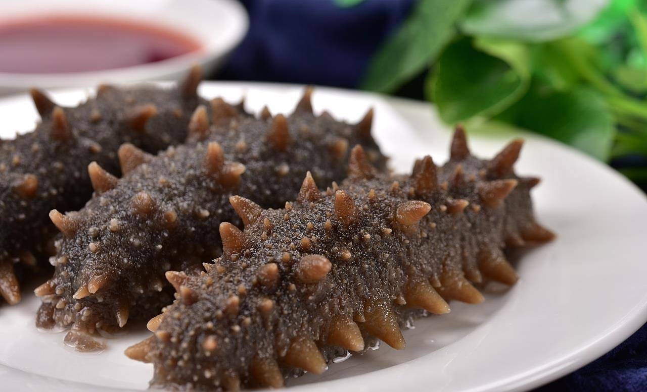 鲜海参为什么要加工成干海参,这样做的好处是什么