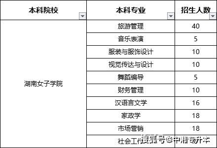 衡陽師範學院29,南華大學30,南華大學船山學院31,湖南第一師範學院32