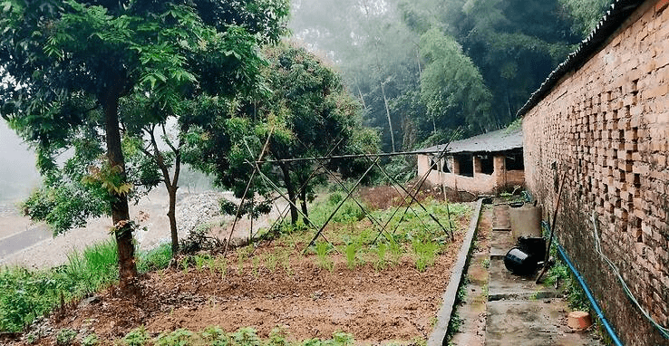 农转非后宅基地怎么办