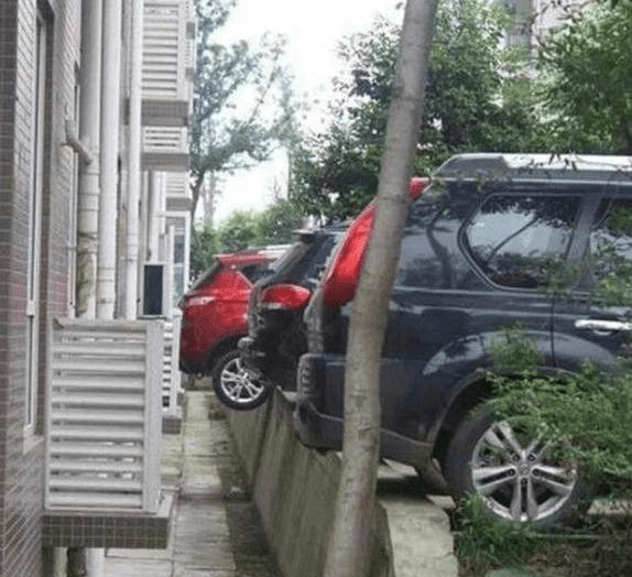 原创
每日一笑:人家娶媳妇都是过日子的,大哥你这媳妇是防台风的吧
