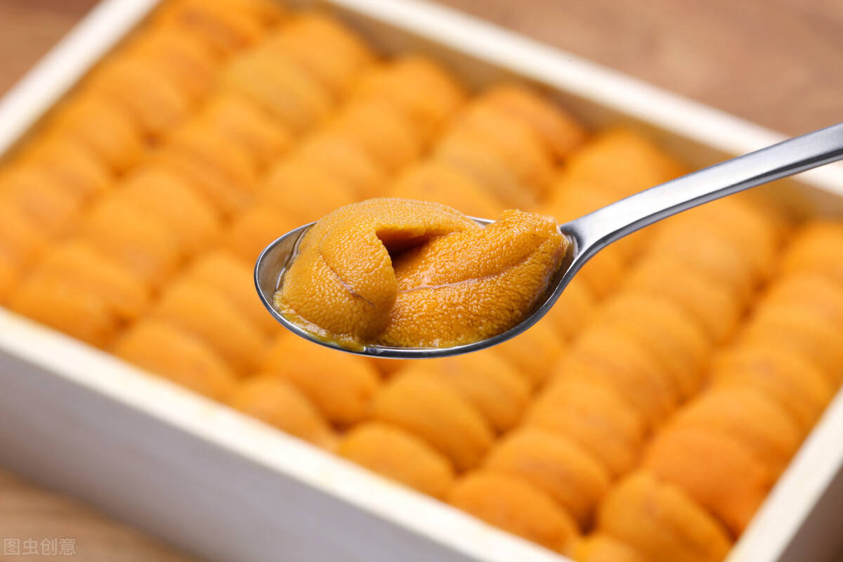 东盛澜丨日本海胆酱如何做日本海胆酱的做法教程