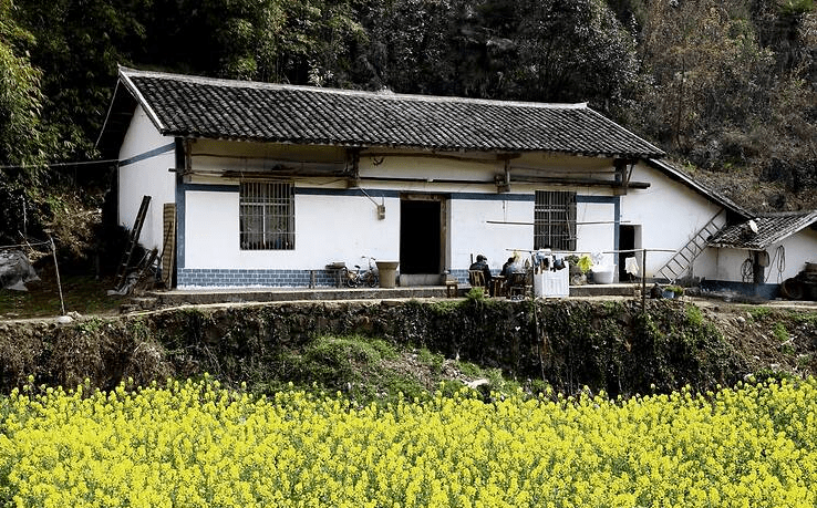 农转非后宅基地怎么办