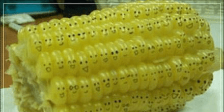 原创
每日一笑:一张图片告诉你妹子自拍背后的真相,真可谓艰辛啊