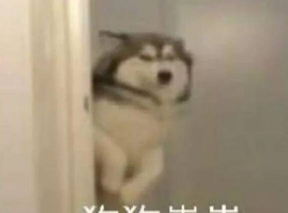 62ad4132f6ad4fdaa7a53e0d739f995b.jpeg