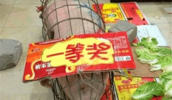 原创
每日一笑:大哥这么大的人了还让妹子抱着走,就不觉得害臊吗