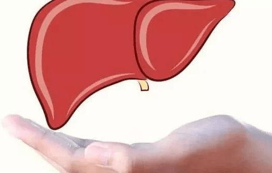 吃什么对肝脏代谢最好 0e1541922e6a44e595af04aaf0a58cd1.png