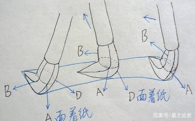 1a68491348a4447b9ad8d64251ca48b9.jpeg