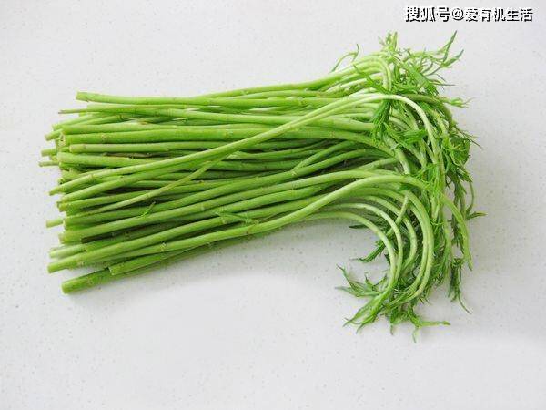 春分至 野菜香 快来寻找春日里的好滋味 荠菜