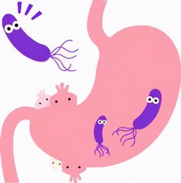 大肠杆菌金黄色葡萄球菌,消毒湿巾杀灭率≥99.999%(二)