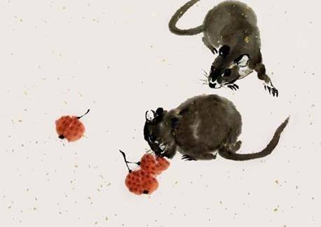 鼠什么时候能摆脱霉运 6ea0cfcc54034c09ba80489456ea999a.jpeg