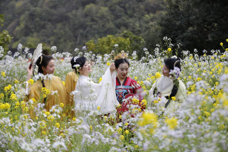 花朝节种花挑菜图片