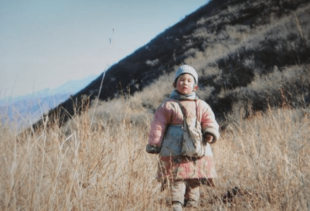 北大学霸夫妻隐居山林,教娃放羊,生活悠闲,为何选择回归闹市?_王青松