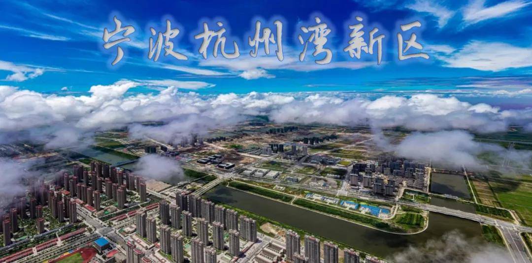 杭州湾新区的2020gdp多少_杭州湾新区的发展在国际大湾区面前算成功吗(3)