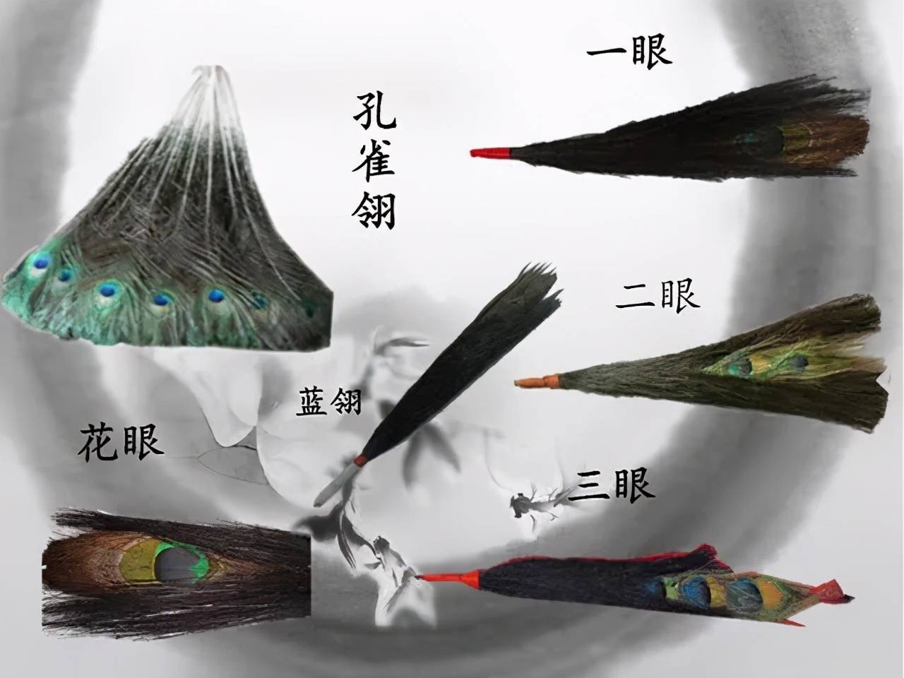 清朝的花翎来自明朝,唯一区别的是明朝花翎用的是雉尾或鹅翎,清朝用的