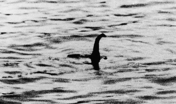 已被科学家破解的未解之谜：神秘的尼斯湖水怪其实可能是这种生物