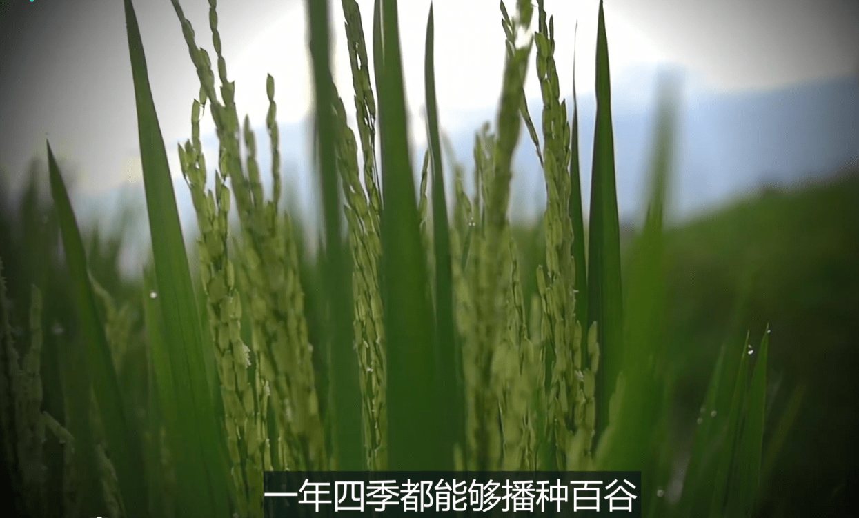 e0bf55bd086a4d57984c2c6ee8e1c0e8.png