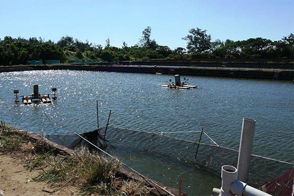 养殖鱼虾水质管理盐碱度水温