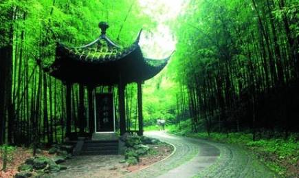 中国“最有诗情画意”的竹海，堪称网红拍照地，游客：适合穿汉服