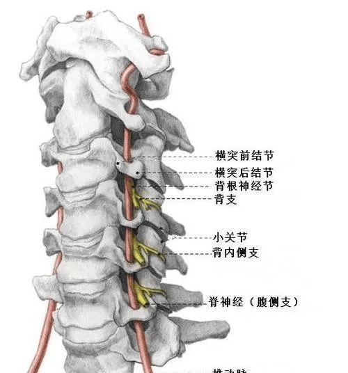 d3e1a68501c6470ab66adc4411bac245.png