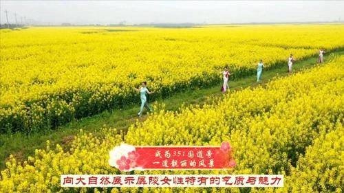 美爆了！荆州公安县52万亩油菜花开啦！