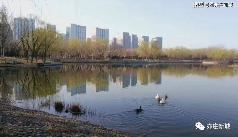 快来！北京经济技术开发区亦庄国际企业文化园桃花林正在盛开