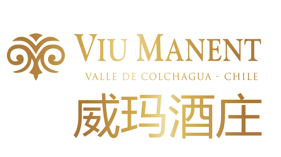 甄选大师班 | 威玛名庄--智利十八罗汉顶流佳酿垂直年份品鉴会_酒庄