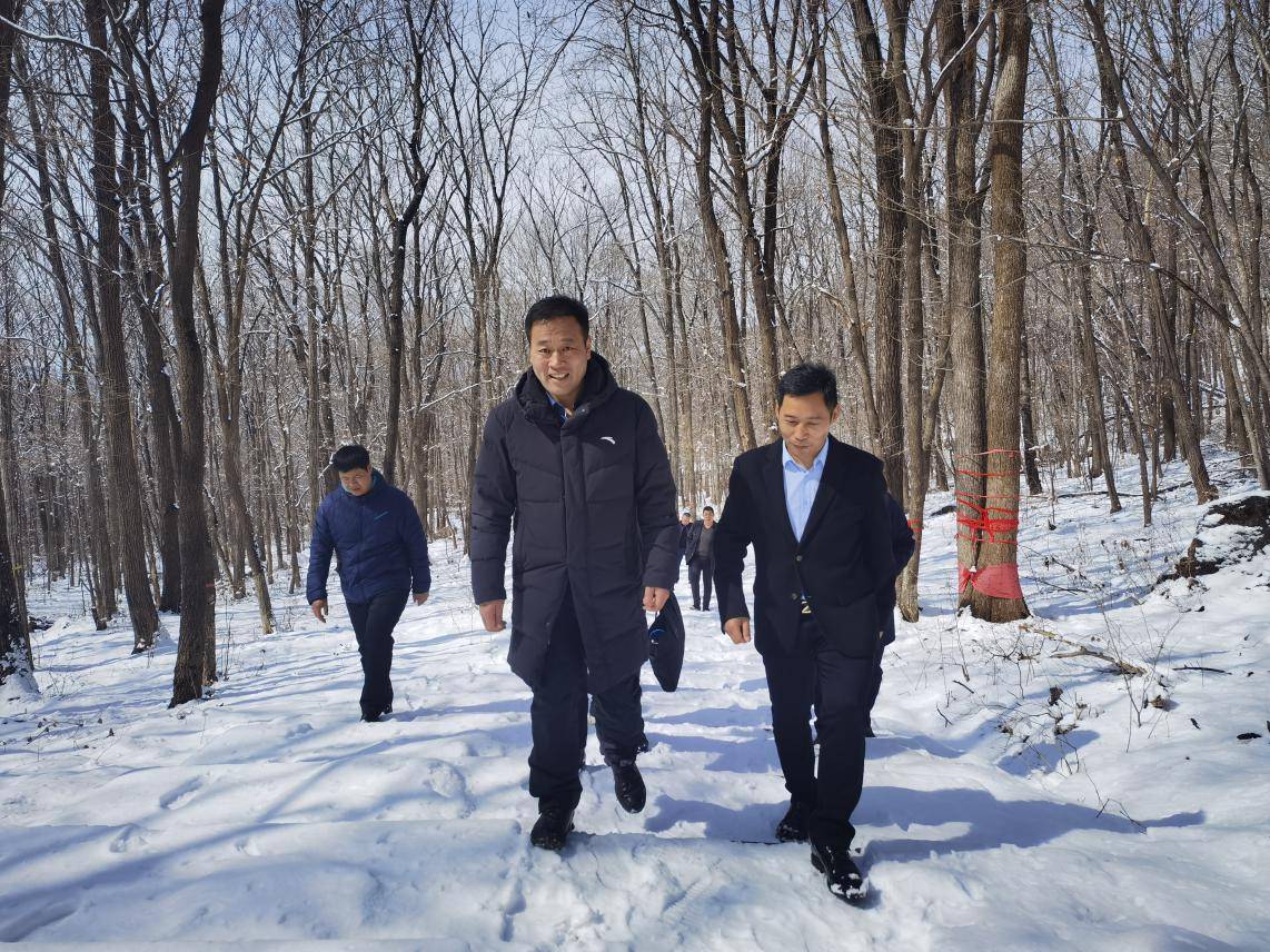 哈尔滨市阿城区委书记孙钊到松峰山景区调研