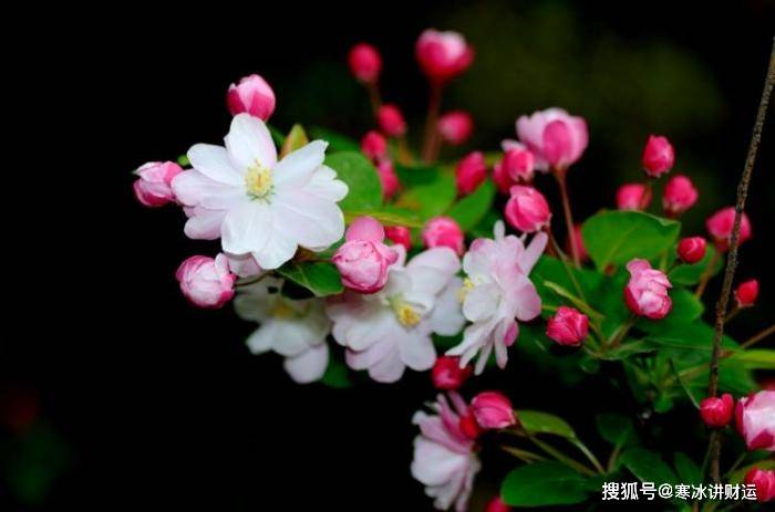 9719e5ff1d664bf6b396b9390c0a5cb8.jpeg