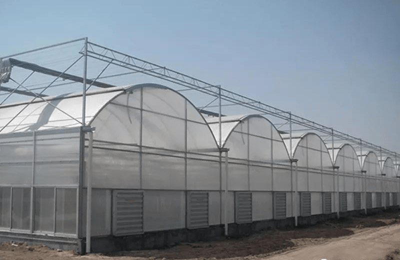 连栋塑料温室大棚设计要求
