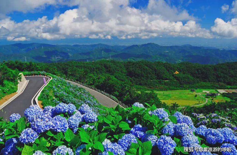 日本最美紫阳花观赏指南 带你开启一场仲夏夜之梦 地址