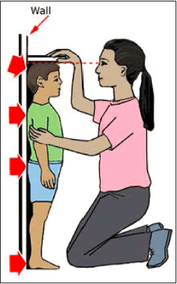 不要让孩子被这些谣言耽误长个儿_身高