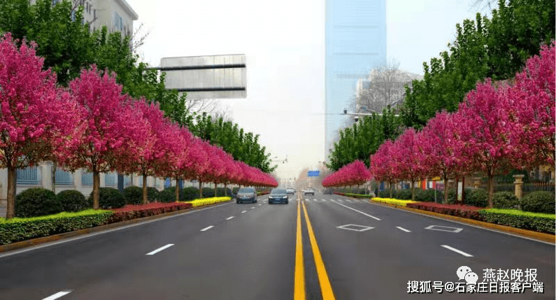 成都现在的疫情怎么样了（海棠街道什么时候解封）