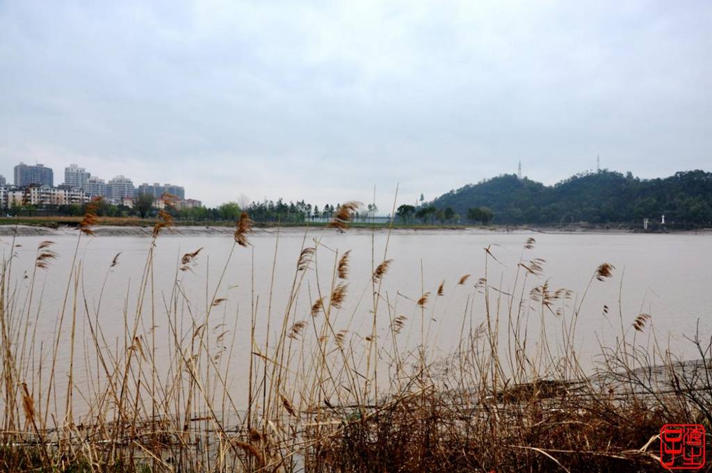 浙江临海之三，春风里的台州母亲河“灵江”滨江大堤
