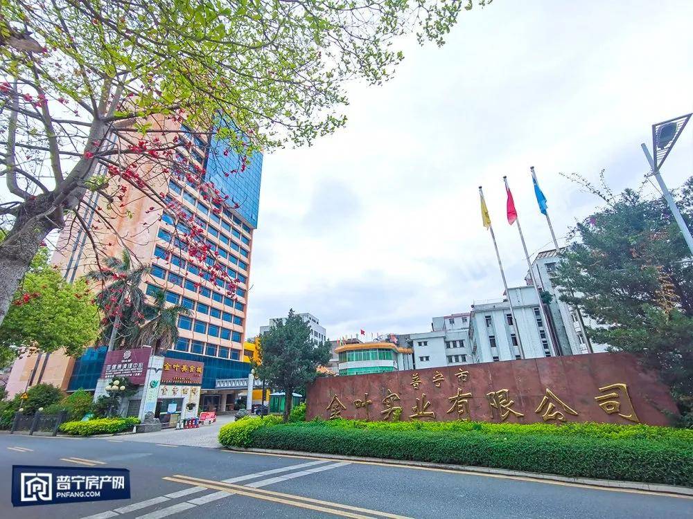 普宁金叶大厦将启动改造,效果图抢先看!