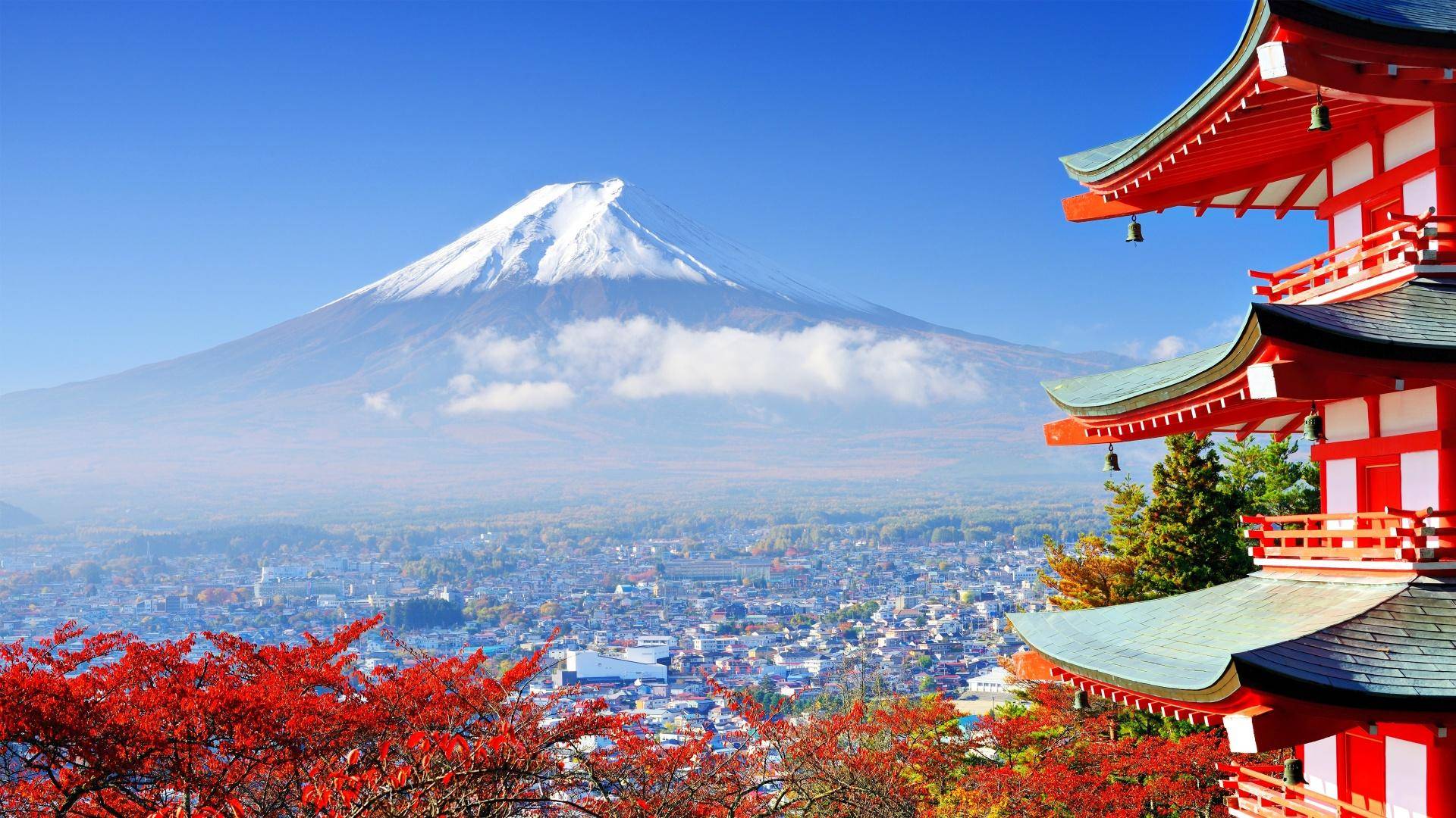 日本富士山竟然是私人财产？一年租金高达几十亿