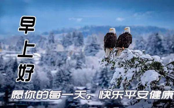 早上温馨暖心问候语  婴幼儿早上好图片大全集图片