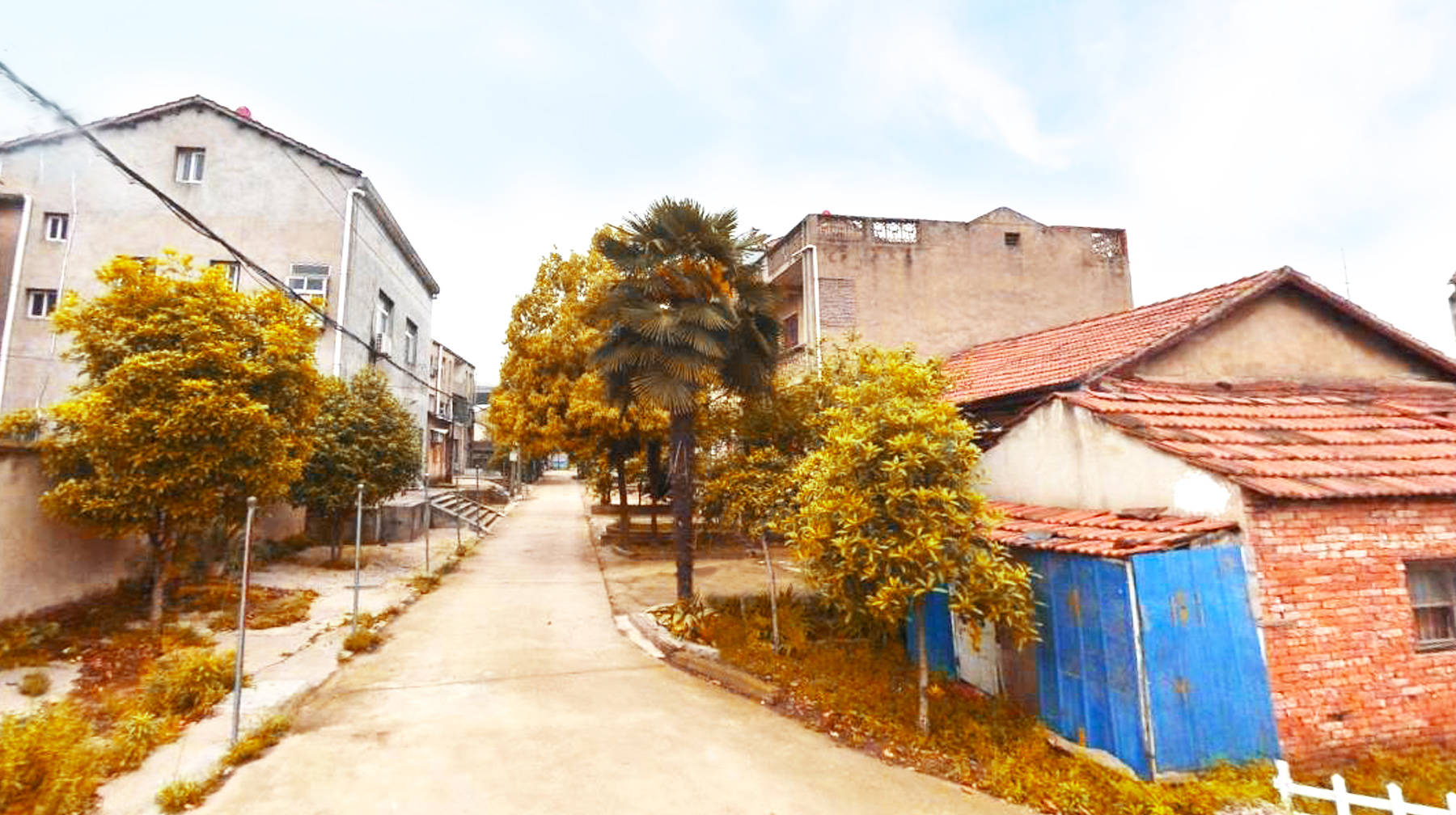 原创武汉郊区有座渔门村:建在汉江堤坝下,300多栋民房布局如小镇