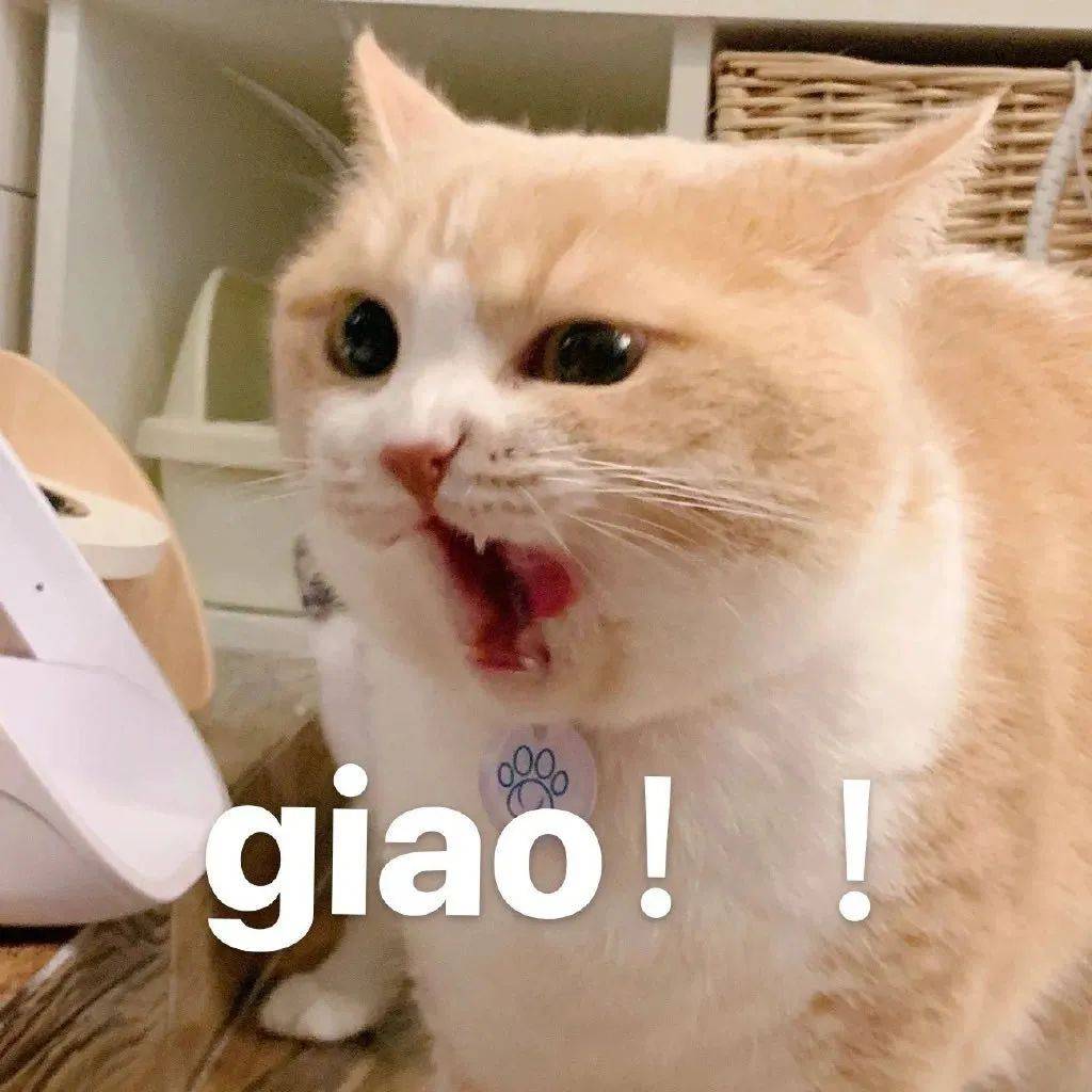 042f9f5eba9346f5b7a7ce39a11a6df1.jpeg