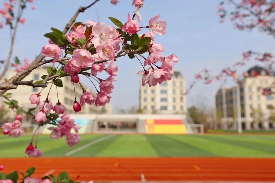 春天来了新华公学校园春景大片最美校园等你来