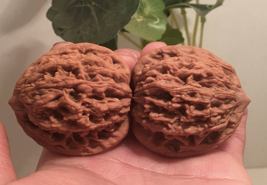 文玩核桃麦穗虎头真的好么实际情况它的处境十分尴尬