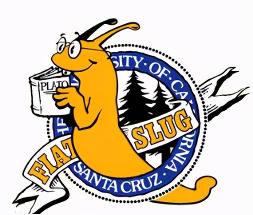 ucsc的吉祥物是香蕉蛞蝓(banana slug),它是一种有明亮的黄色皮肤