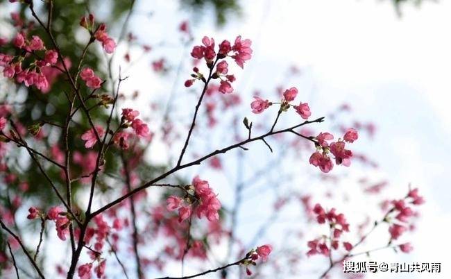 周易解读 21年3月28日阴历 二月十六 辛卯月 光明磊落 口舌