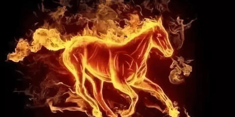 申·平动物系列小小说三：战马火龙驹