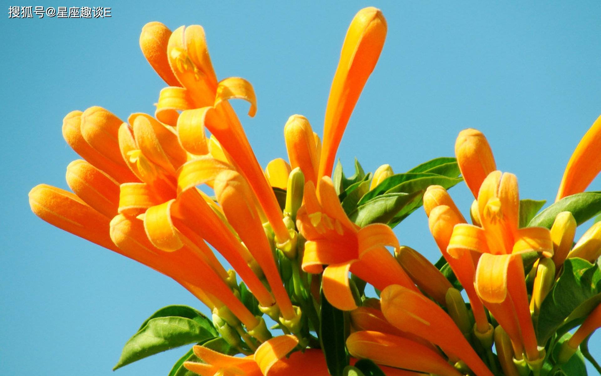 3月29日爱情运势 琴瑟和鸣 相敬如宾的四大星座 伴侣